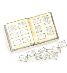 写真、アルバム